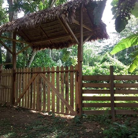 Tambopata River Puerto Maldonado Exterior foto